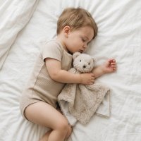 19C257: Baby Novelty Teddy Comforter